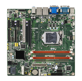 Плата AIMB-503L-00A1E   MicroATX with VGA/DVI 10COM/11 USB/DUAL LAN