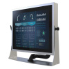 Монитор   R19L100-SPM169-P1     19" 1280x1024 VGA input only With P-Cap touch Full IP69K stainless s